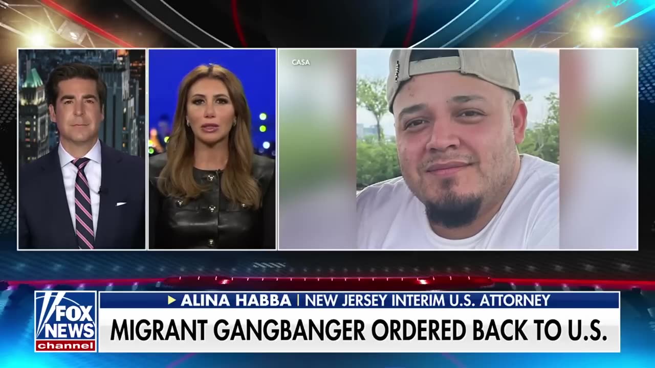 ‘FULL STOP’: Alina Habba does not mince words on illegal migrant deportations