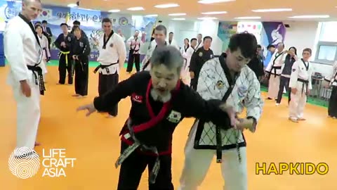 Hapkido