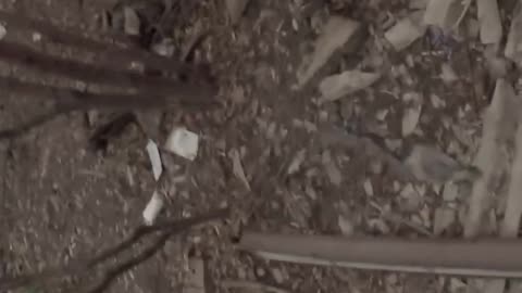 Ukraine Russia war combat/related footage 12/7/2025