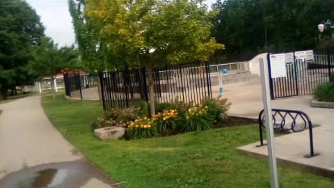 walk