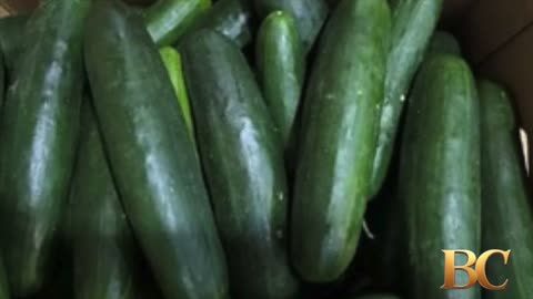 Cucumbers recalled after more than 20 people sickened in Salmonella outbreak
