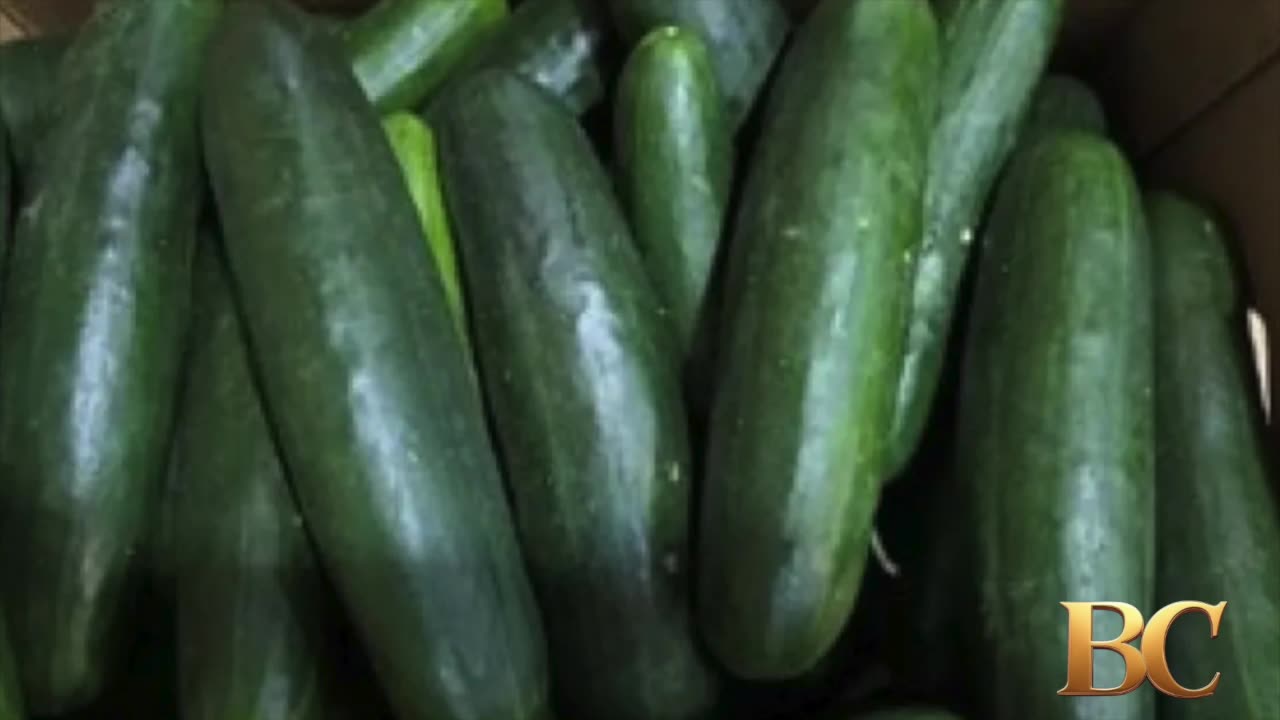 Cucumbers recalled after more than 20 people sickened in Salmonella outbreak
