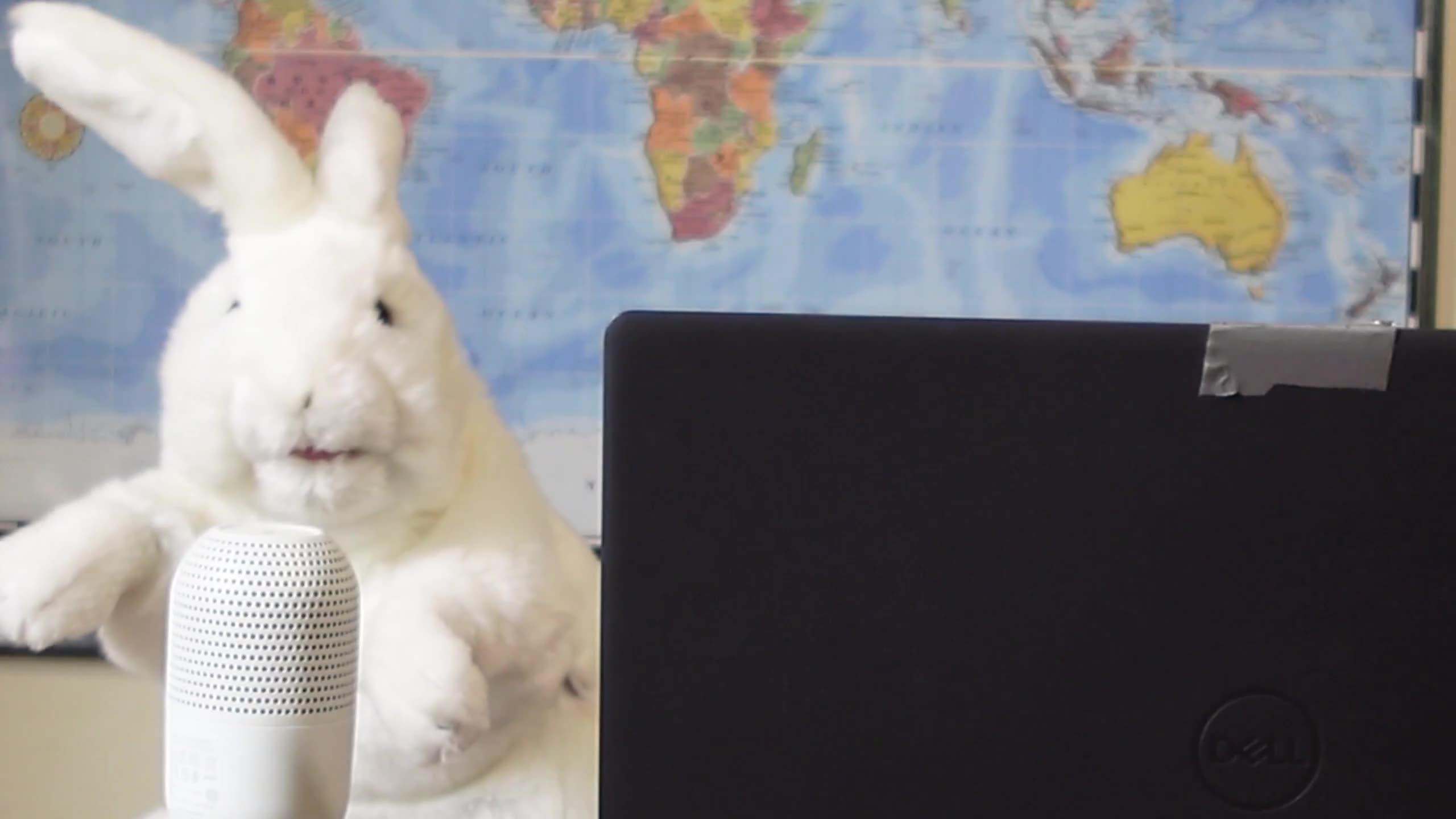 CGPA Puppet News Blast MSN over coverage of Charlie Kirk Assassination | Shameful...