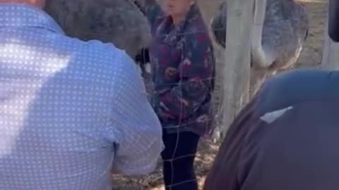 🧬 2020–2021 Antibody Discovery That Threatened Big Pharma Interests