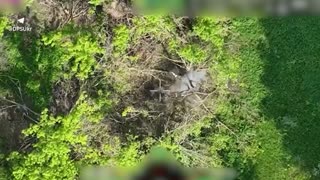 🔥Aerial reconnaissance of the Kharkiv Border Guard Unit using drones destroyed nine