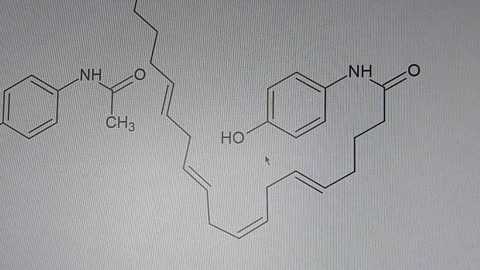 💊Парацетамол-аутизм?, но есть выход, но это неточно💊 - проект.