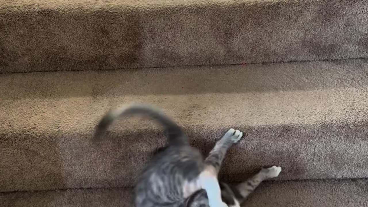 😎😎