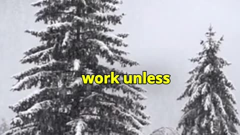 motivational quote
