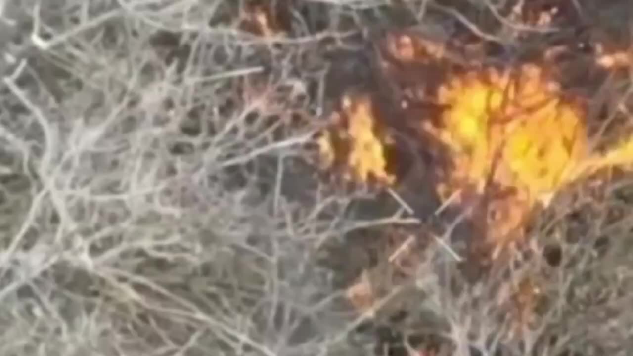 Ukrainian Incendiary Drones Set Fire to Russian Positions Surrounded by Dry Brush