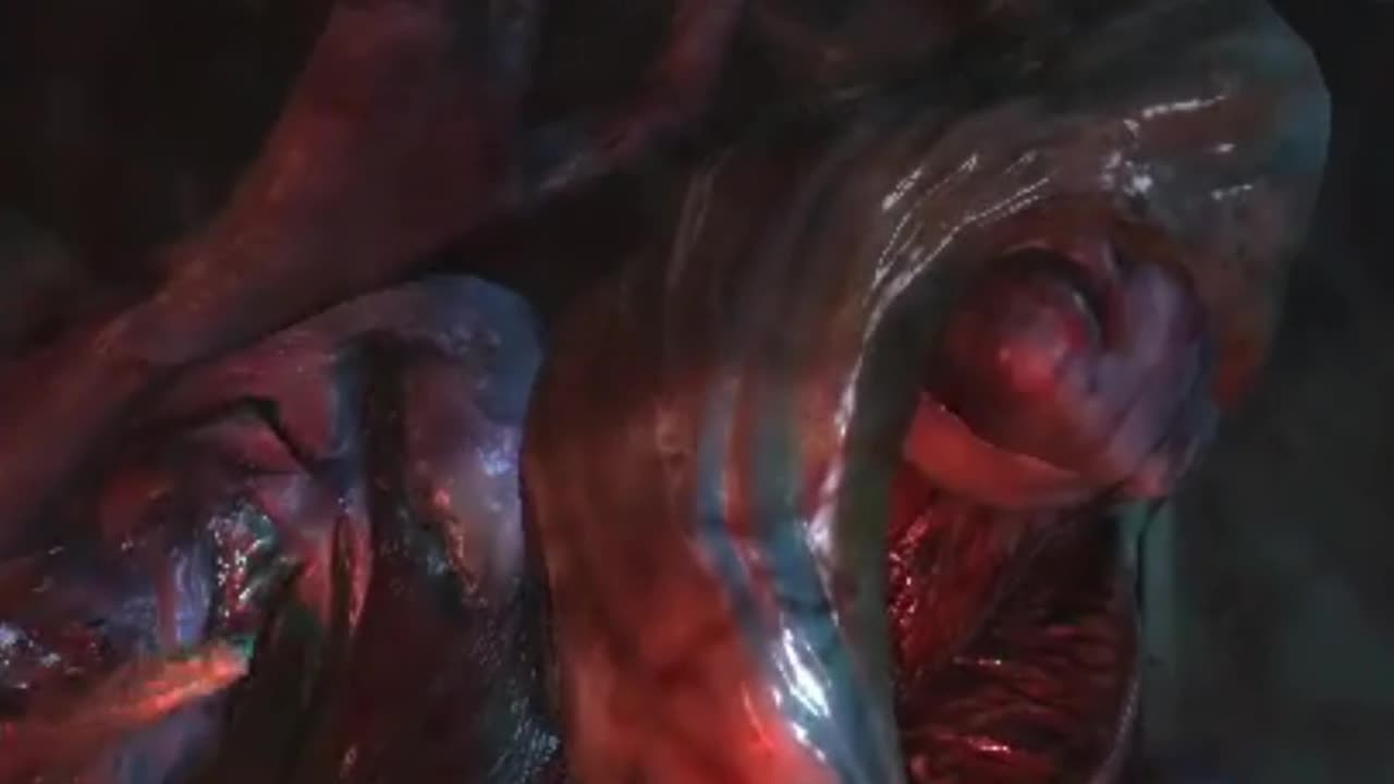 Any one else like ooze rachel?