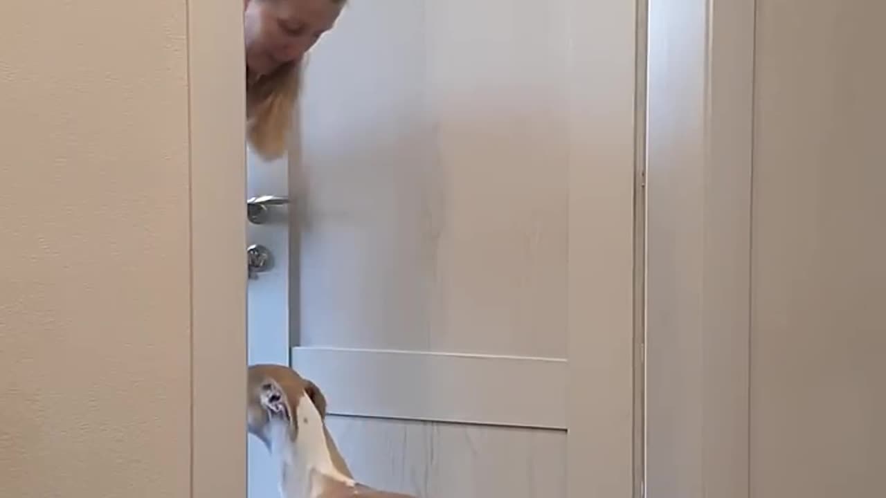 Best funny videos prank