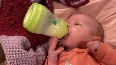 Baby Kayla - All Videos LIVE