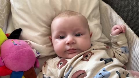 Baby Kayla - All Videos LIVE