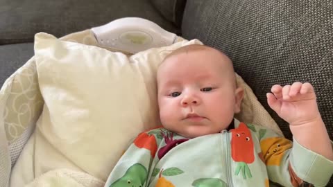 Baby Kayla - All Videos LIVE