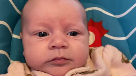 Baby Kayla - All Videos LIVE