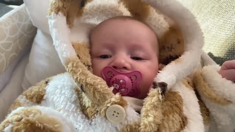 Baby Kayla - All Videos LIVE