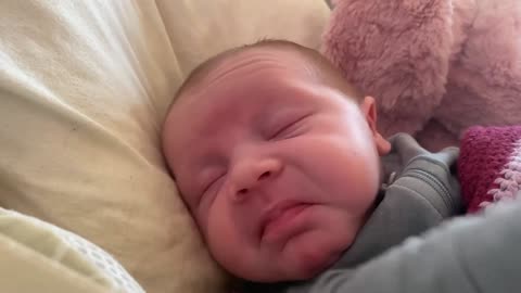 Baby Kayla - All Videos LIVE