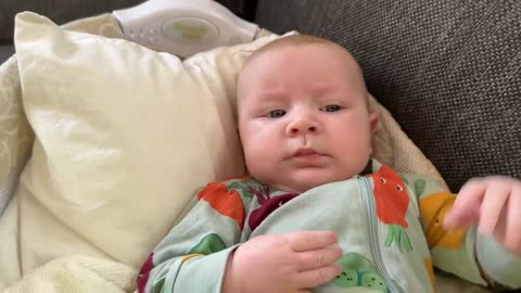 Baby Kayla - All Videos LIVE