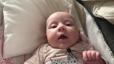Baby Kayla - All Videos LIVE