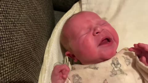 Baby Kayla - All Videos LIVE
