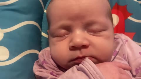 Baby Kayla - All Videos LIVE