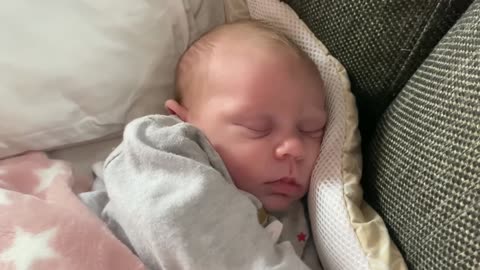 Baby Kayla - All Videos LIVE