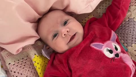 Baby Kayla - All Videos LIVE