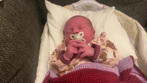 Baby Kayla - All Videos LIVE