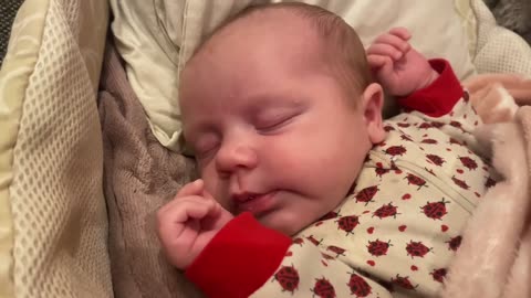 Baby Kayla - All Videos LIVE