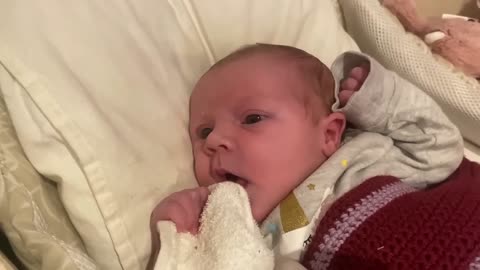 Baby Kayla - All Videos LIVE