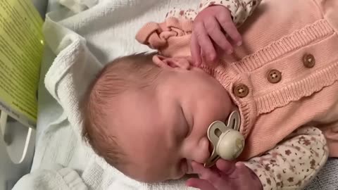 Baby Kayla - All Videos LIVE