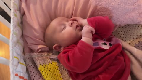 Baby Kayla - All Videos LIVE