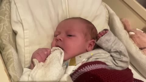 Baby Kayla - All Videos LIVE