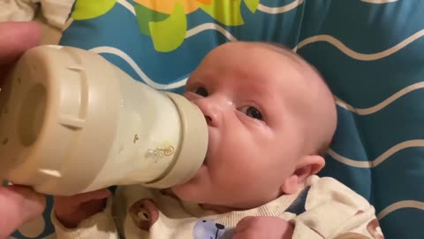 Baby Kayla - All Videos LIVE