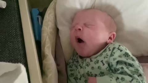 Baby Kayla - All Videos LIVE