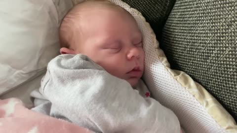 Baby Kayla - All Videos LIVE