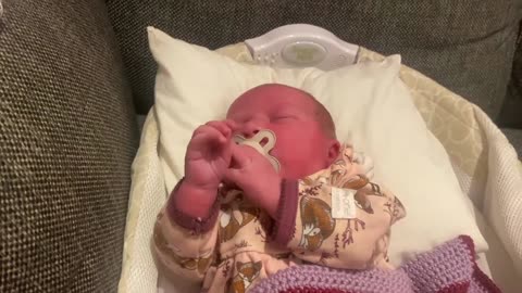 Baby Kayla - All Videos LIVE