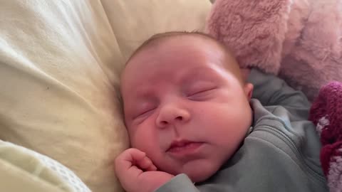 Baby Kayla - All Videos LIVE