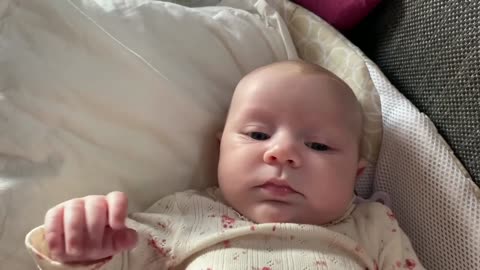 Baby Kayla - All Videos LIVE