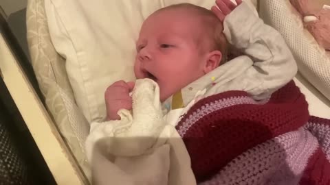 Baby Kayla - All Videos LIVE