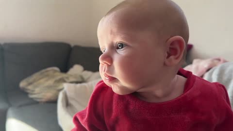 Baby Kayla - All Videos LIVE
