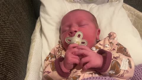 Baby Kayla - All Videos LIVE