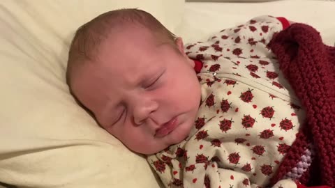 Baby Kayla - All Videos LIVE