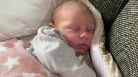 Baby Kayla - All Videos LIVE
