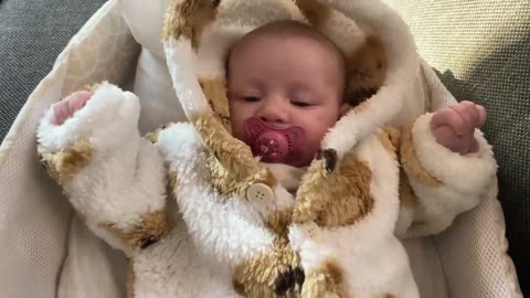 Baby Kayla - All Videos LIVE
