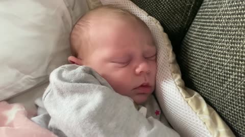 Baby Kayla - All Videos LIVE