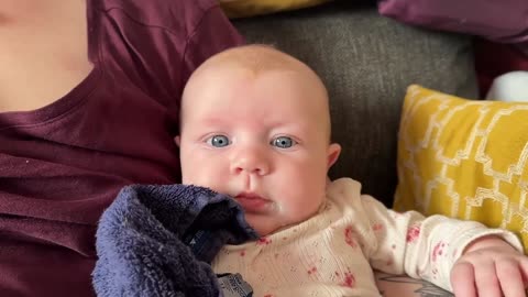 Baby Kayla - All Videos LIVE