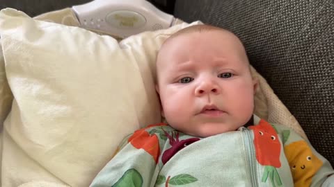 Baby Kayla - All Videos LIVE