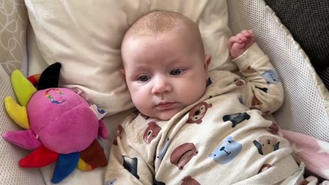 Baby Kayla - All Videos LIVE