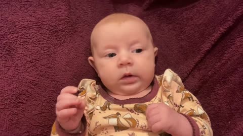 Baby Kayla - All Videos LIVE